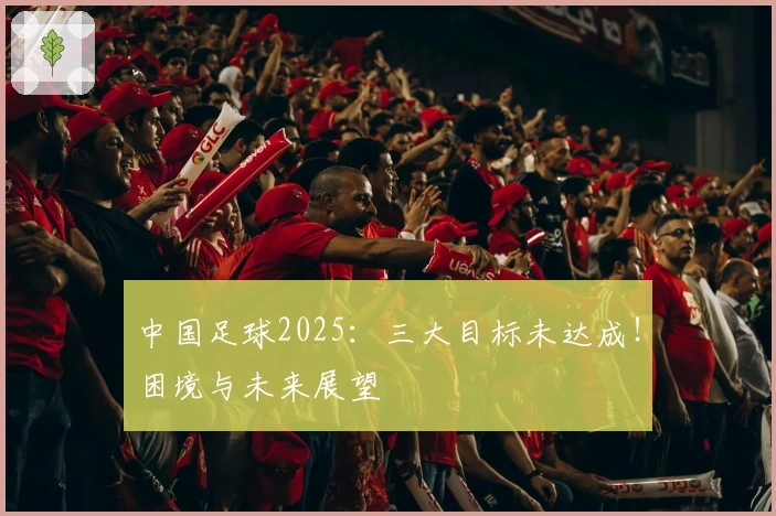 中国足球2025：三大目标未达成！困境与未来展望